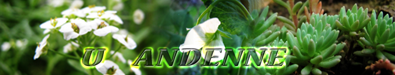 Banner profilu