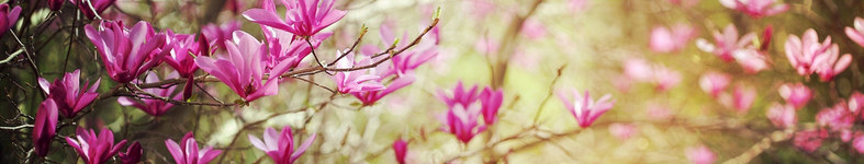 Banner profilu