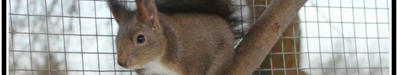 Banner profilu