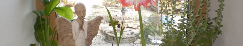 Banner profilu