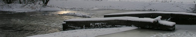 Banner profilu