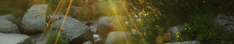 Banner profilu