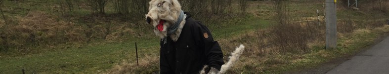 Banner profilu