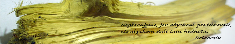 Banner profilu