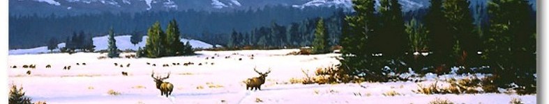 Banner profilu
