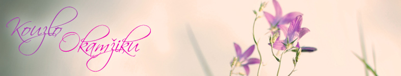 Banner profilu