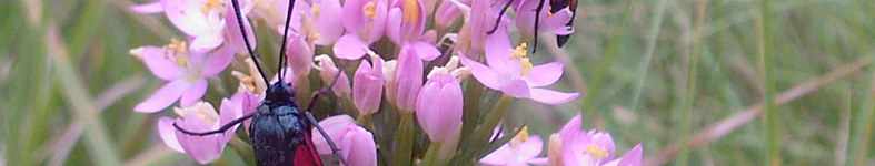 Banner profilu