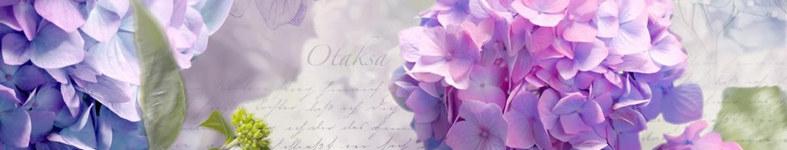 Banner profilu