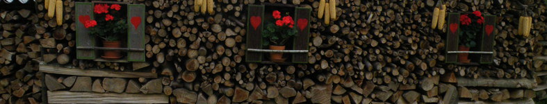 Banner profilu
