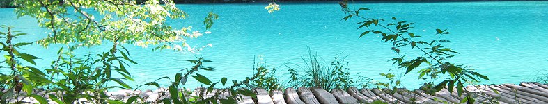 Banner profilu