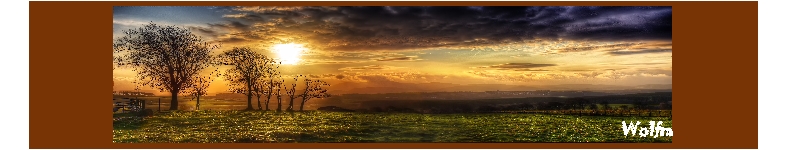 Banner profilu