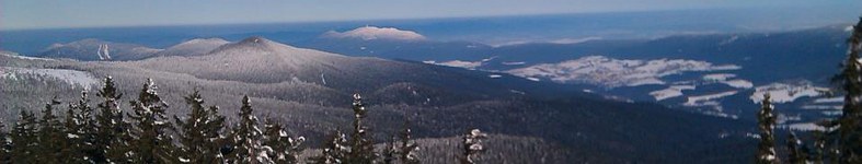 Banner profilu
