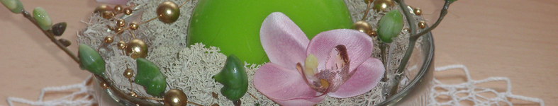 Banner profilu