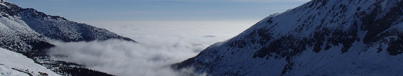 Banner profilu
