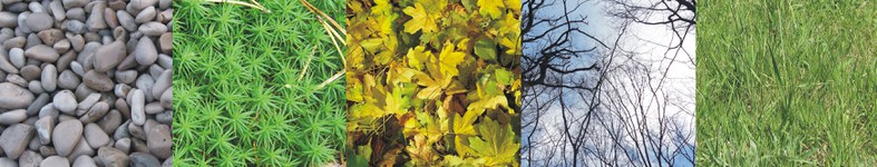 Banner profilu