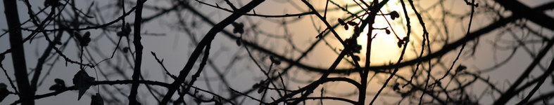 Banner profilu