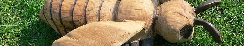 Banner profilu