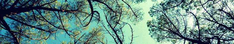 Banner profilu