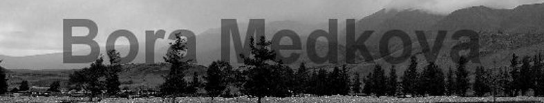 Banner profilu