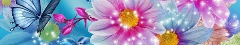 Banner profilu