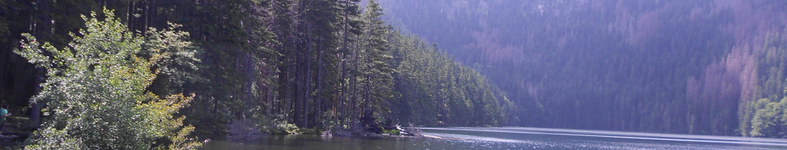 Banner profilu