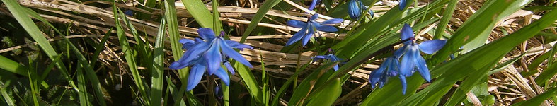 Banner profilu