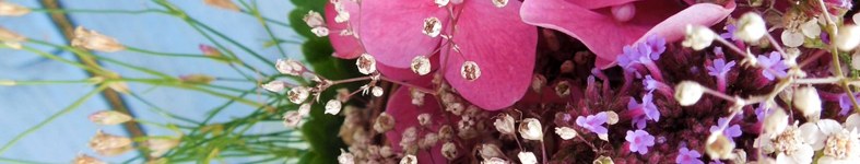 Banner profilu