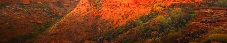Banner profilu