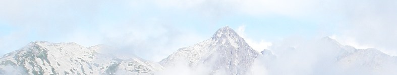 Banner profilu