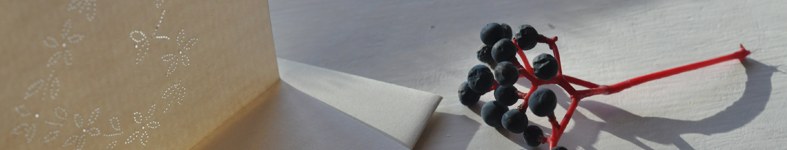 Banner profilu