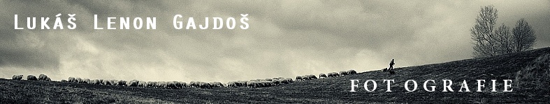 Banner profilu