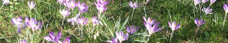 Banner profilu