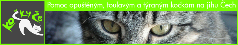 Banner profilu