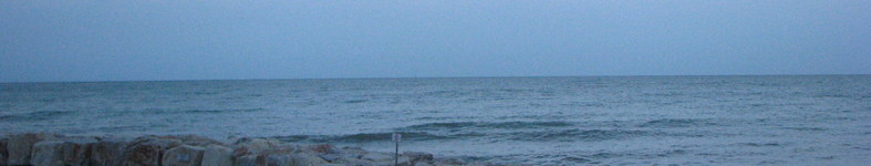 Banner profilu