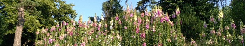 Banner profilu