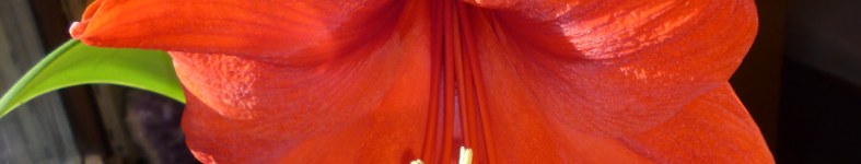 Banner profilu