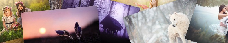 Banner profilu