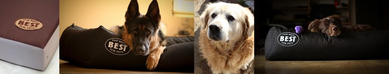 Banner profilu