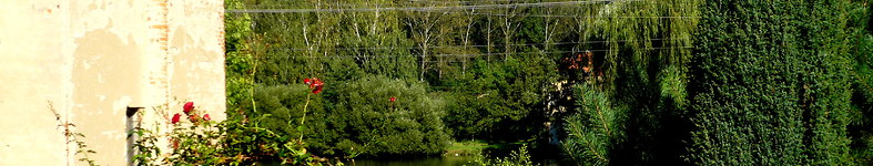Banner profilu