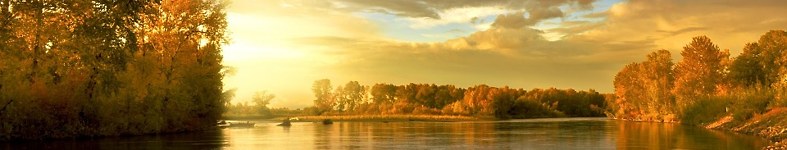 Banner profilu
