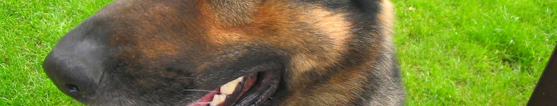 Banner profilu