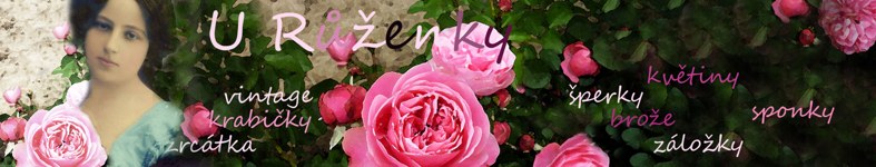 Banner profilu