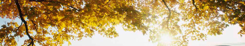 Banner profilu