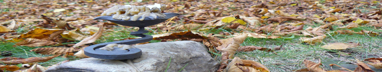 Banner profilu