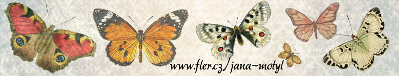 Banner profilu