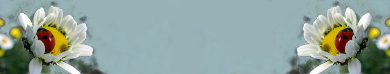 Banner profilu