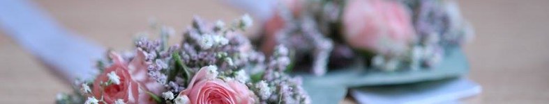 Banner profilu