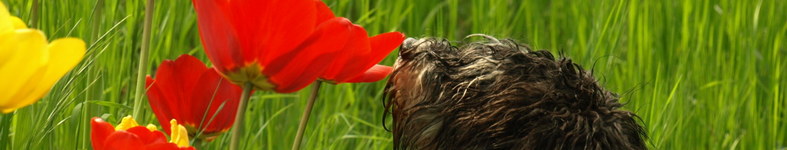 Banner profilu
