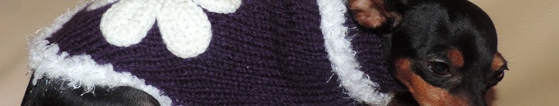 Banner profilu