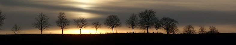 Banner profilu